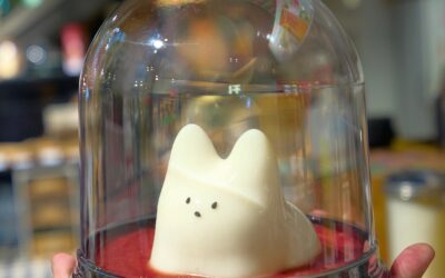 Panna-Cat 🐱✨